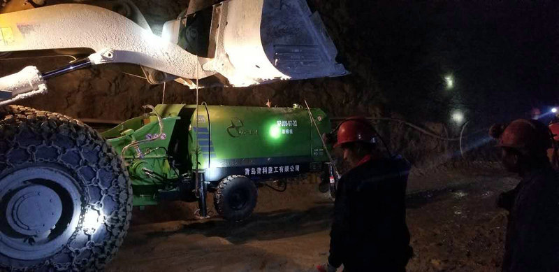 �񇊙C ���{�C